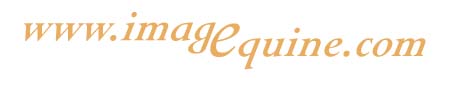 Image Equine Logo